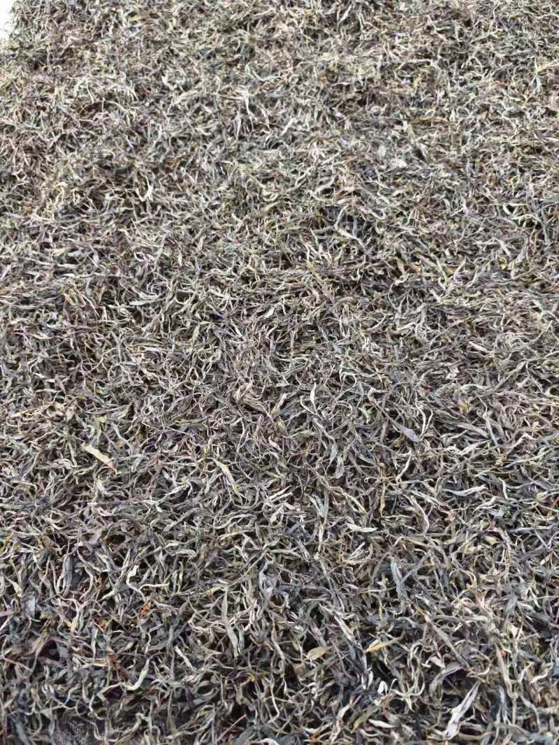 千年古树普洱茶可批发可零售对接线下市场和电商