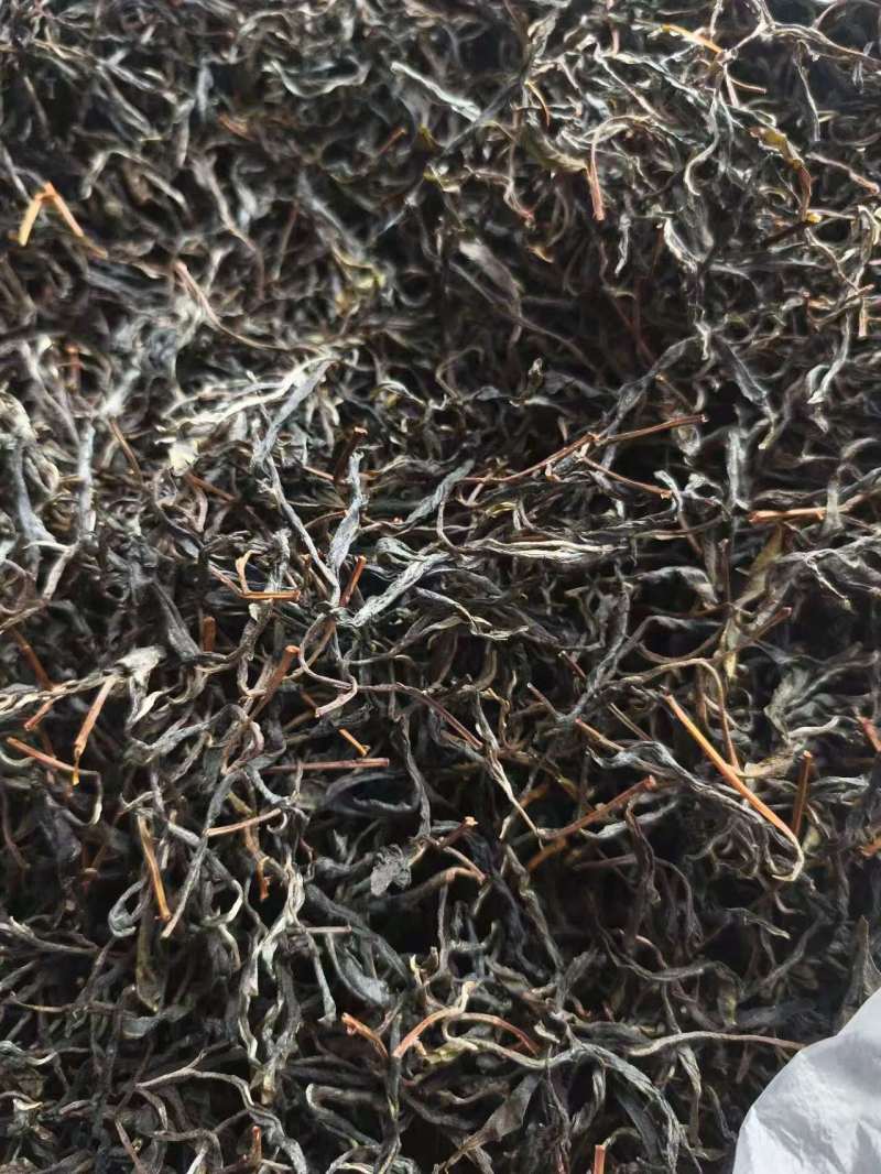 千年古树普洱茶可批发可零售对接线下市场和电商