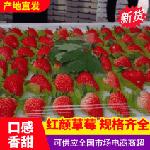 精选精品红颜大果，供货全国批发市场，渠道商超