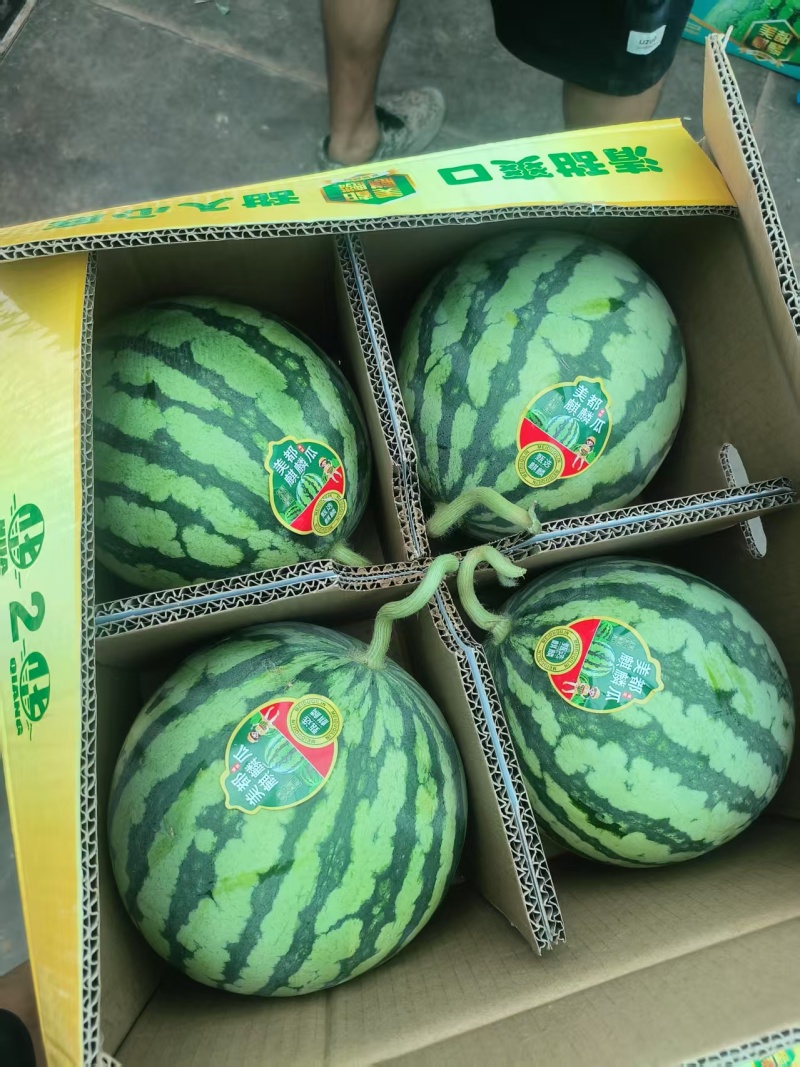 陕西美都，金王，小糖丸西瓜，大量上市，价格优惠