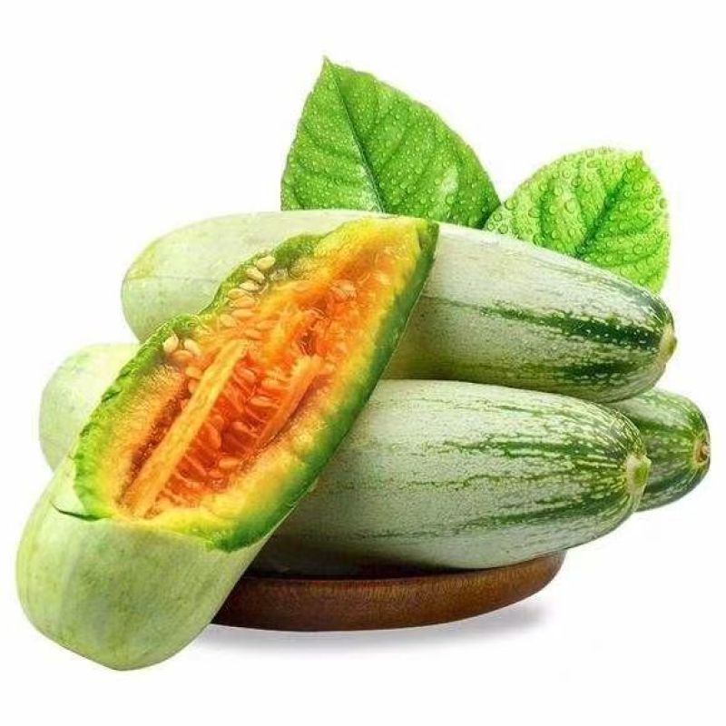 博洋9号甜瓜博洋甜瓜博洋系列甜瓜都有基地直发运输便利