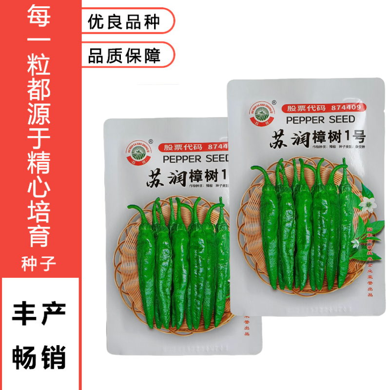 苏润樟树1号辣椒种子早熟杂交高品质正宗樟树港辣椒短羊角