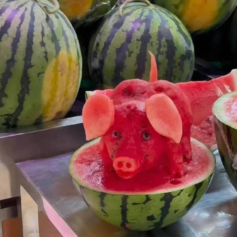 无籽麒麟西瓜一手货源量大价优，脆甜多汁可视频看货代发全国