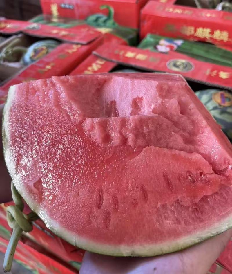 《美都西瓜》江苏美都西瓜东台西瓜产地直发包熟包甜