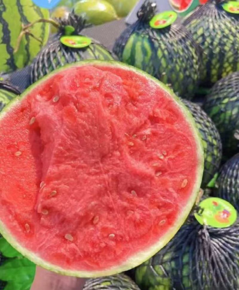《精选》美都西瓜江苏西瓜大量上市包熟包甜量大从优