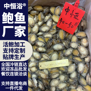 鲍鱼肉供应酒店餐饮自助餐火锅佛跳墙40-50头冻品批发