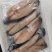 鬼头刀鱼块、鱼柳全国可发量大从优价格透明，视频看货