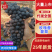 玫瑰香葡萄大量供货新鲜采摘品质上乘欢迎来电洽谈