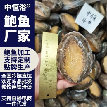 鲍鱼活冻鲍鱼低温保鲜海鲜水产品大鲍鱼4头厂家冻品批发