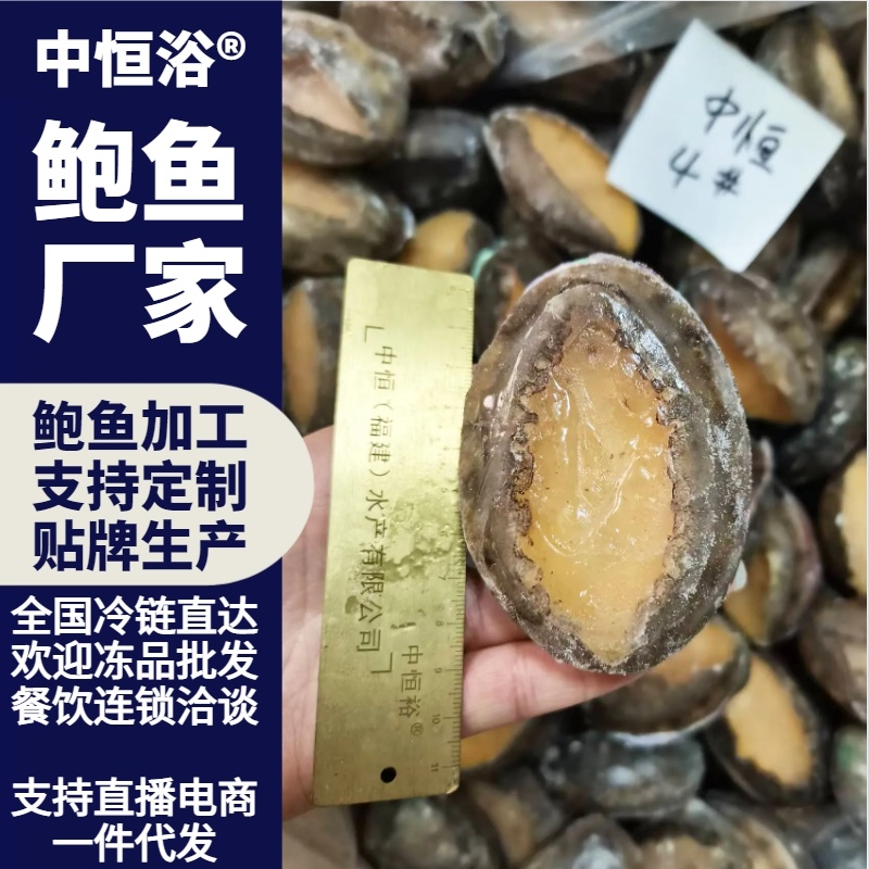 鲍鱼活冻鲍鱼低温保鲜海鲜水产品大鲍鱼4头厂家冻品批发