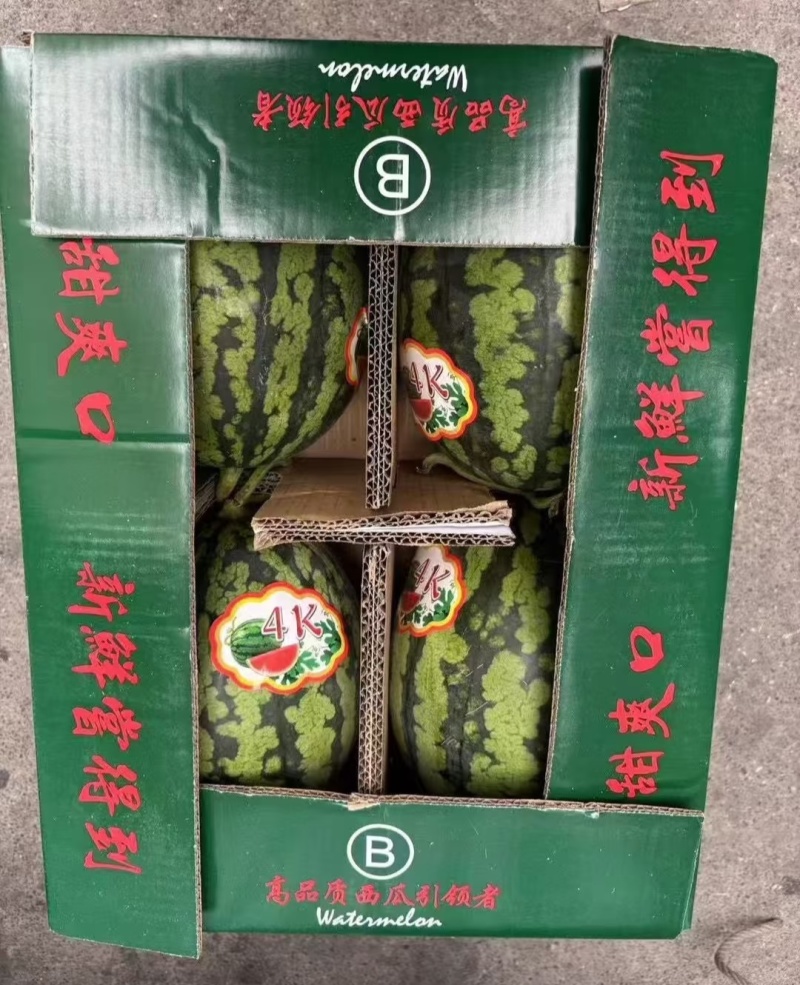陕西甘美4K西瓜（热卖推荐）一手货源现摘现发可视频看货
