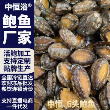 鲍鱼活冻6头大鲍鱼供应餐饮酒店海鲜冻品批发佛跳墙食材