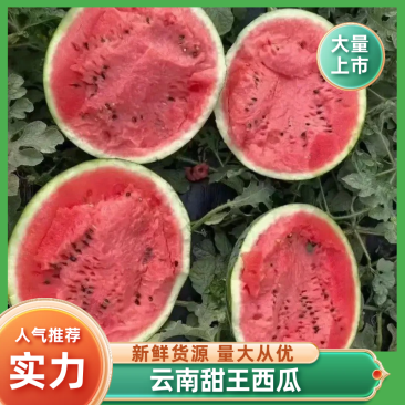 陕西甜王西瓜(包熟包甜)产地直发规格齐全,对接电商市场
