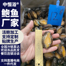 鲍鱼新鲜12头活鲍速冻供应餐饮酒店佛跳墙炖盅食材批发