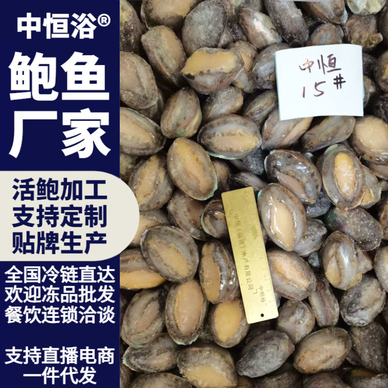 鲜活鲍鱼新鲜冷冻批发15头鲍鱼【鲍鱼工厂】供应餐饮酒店