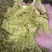 芋苗酸，有带皮的，有去皮的量大从优价格美丽