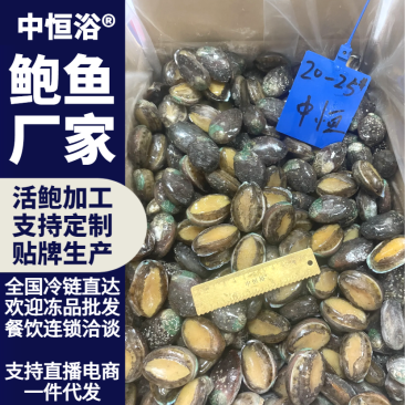 鲍鱼新鲜活鲍速冻20-25头供应餐饮酒店佛跳墙食材批发