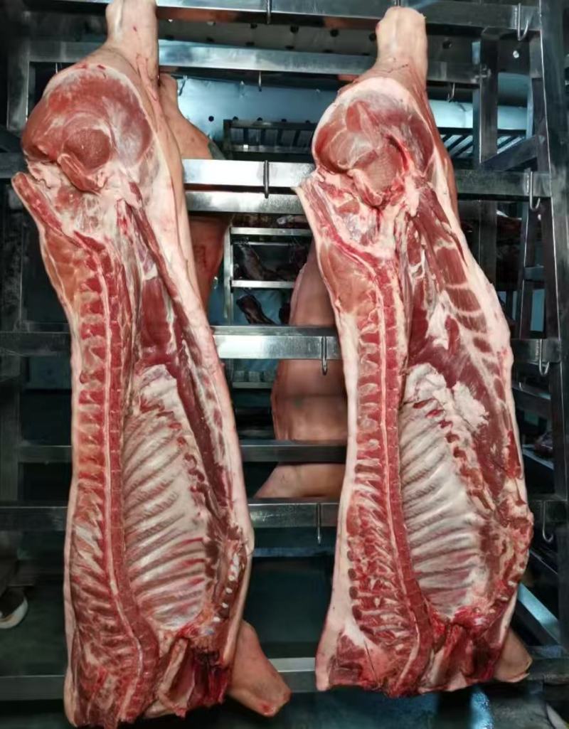 猪肉白条猪基地直销量大质优价格优惠一手货源欢迎采购