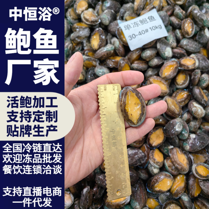 鲍鱼新鲜活冻鲍鱼30-40头供应酒店餐饮冻品海鲜批发