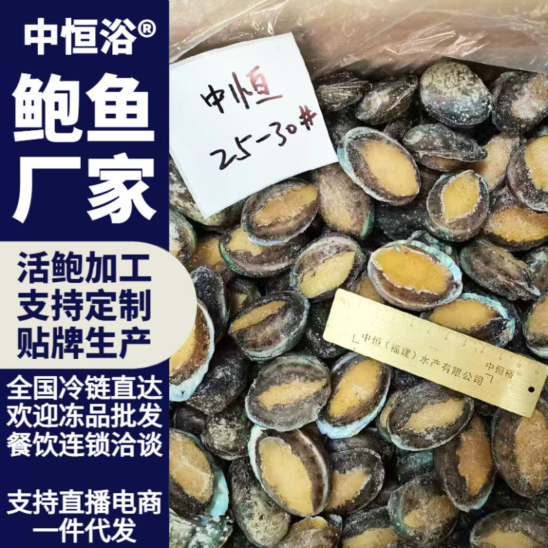 鲜活鲍鱼新鲜冷冻25-30头鲍鱼【鲍鱼工厂】冻品批发