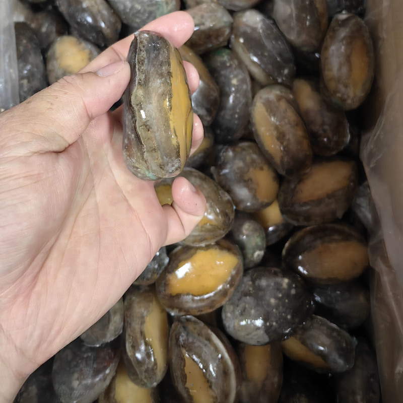 鲍鱼新鲜50-60头速冻佛跳墙炖盅食材酒店餐饮海鲜批发