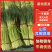 山东红帽蒜薹平邑产地万亩产区现摘现发对接市场电商商场订货
