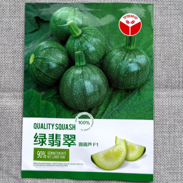 绿翡翠西葫芦种子矮生早熟嫩南瓜种子抗病采收期长