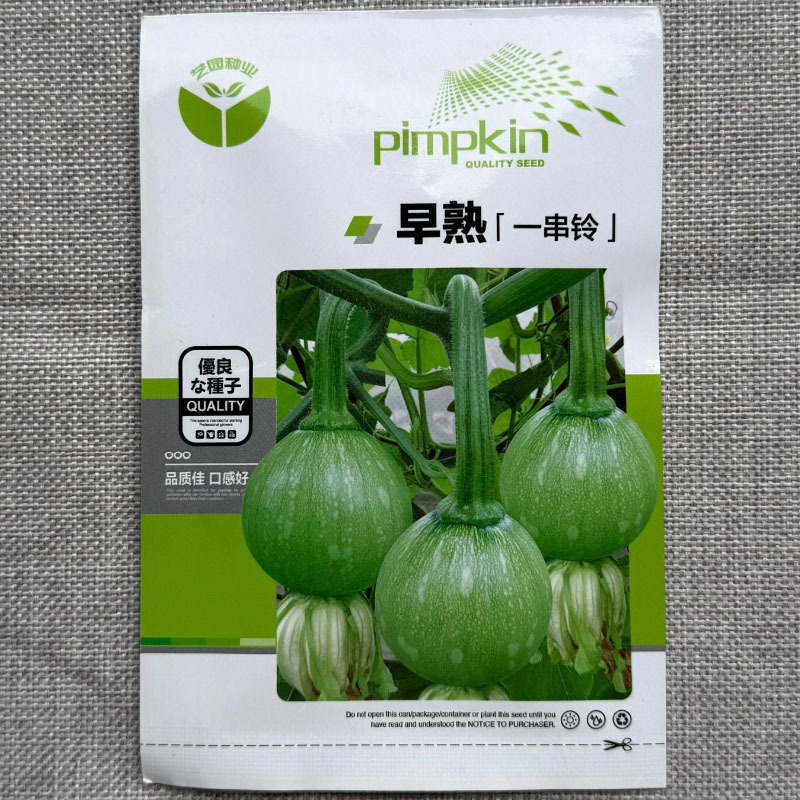 珍珠四号西葫芦种子早熟耐寒嫩南瓜种子口感脆嫩