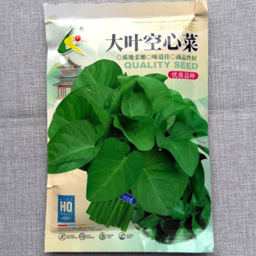 大叶空心菜种子叶互生全缘急尖耐高温耐湿耐肥