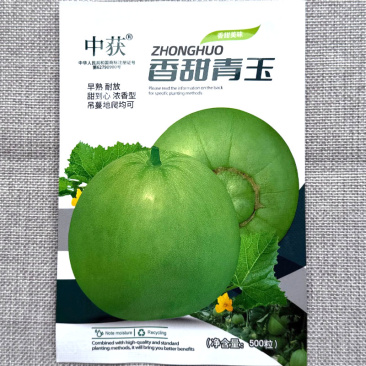 香甜青玉甜瓜种子早熟耐放果肉翠绿浓香型吊蔓爬地均可