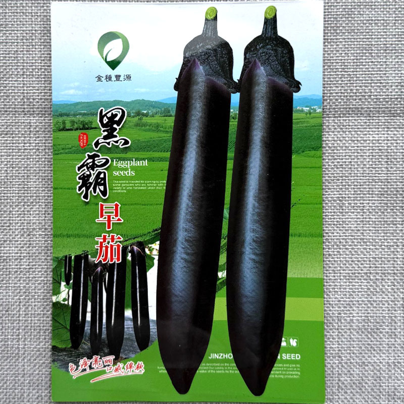 黑霸早茄种子抗病耐热黑长茄种子肉质软绵茄香味浓