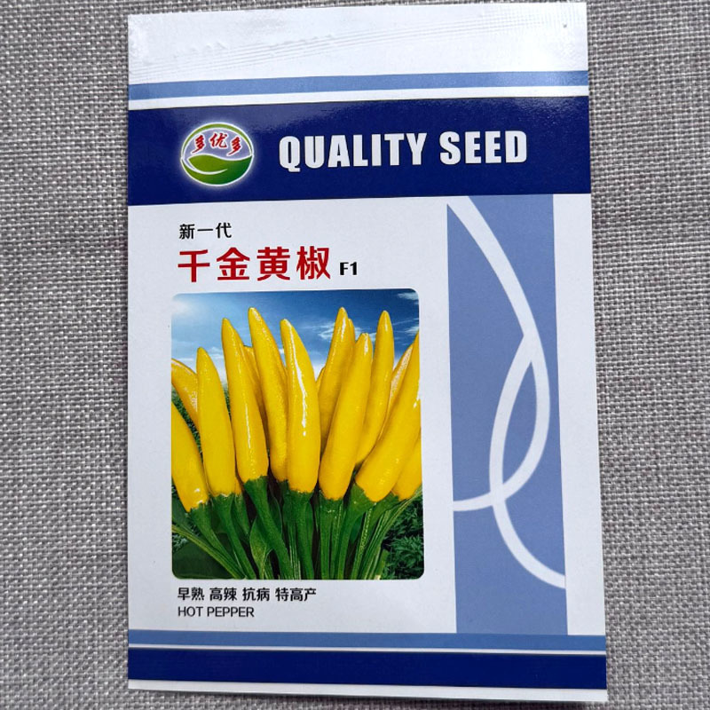 千金黄椒种子早熟高辣抗病抗重茬嫩果绿色熟果金黄色