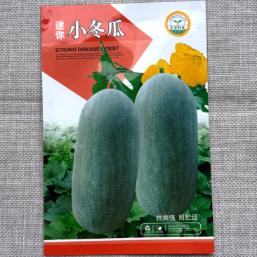 迷你小冬瓜种子抗病强单瓜2公斤肉厚耐贮运