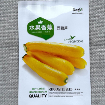 香蕉西葫芦种子早熟实心皮色金黄果肉细脆嫩