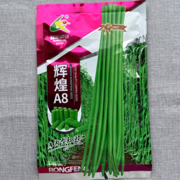 辉煌A8豇豆种子厚肉型抗病强耐高温高湿荚条粗长