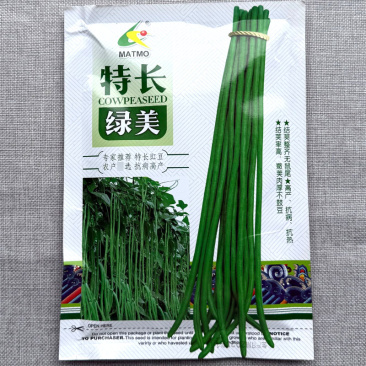 特长绿美豇豆种子结荚整齐无鼠尾抗病抗热肉厚不鼓豆