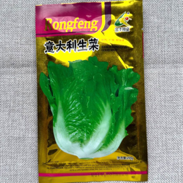 意大利生菜种子耐热耐寒耐抽苔脆嫩清香四季种植