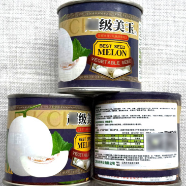 美玉甜瓜种子白皮白籽白瓤不裂果质脆味甘甜可口
