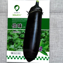 佳味烧烤茄子种子早熟杂交茄条紫黑口感绵软