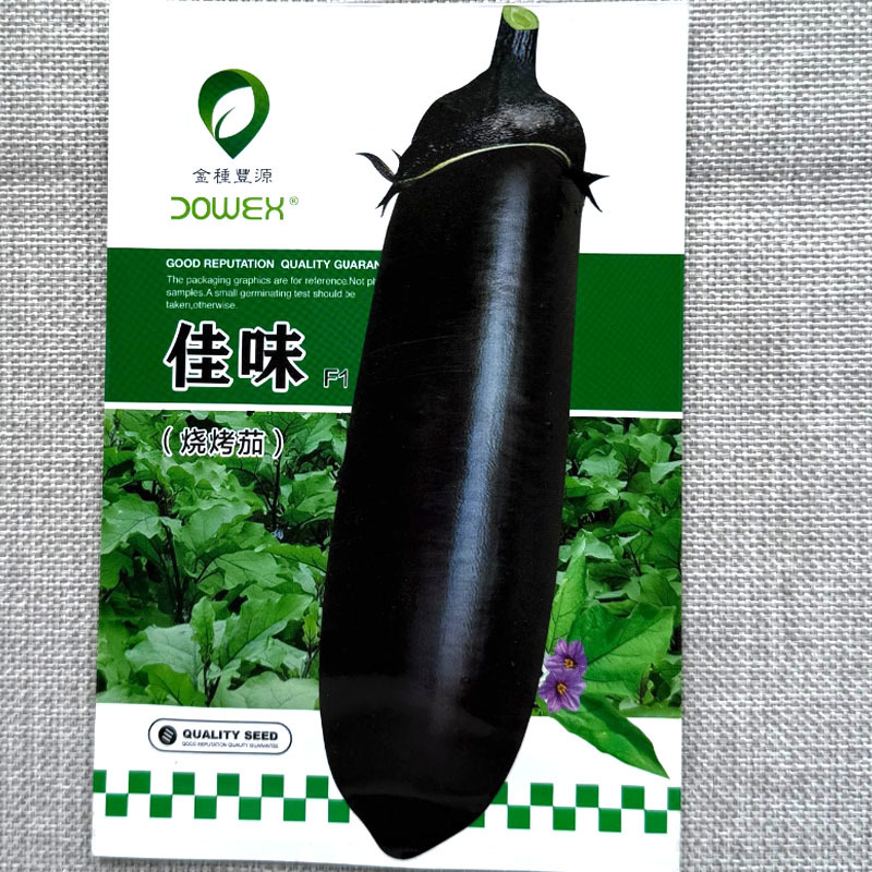 佳味烧烤茄子种子早熟杂交茄条紫黑口感绵软