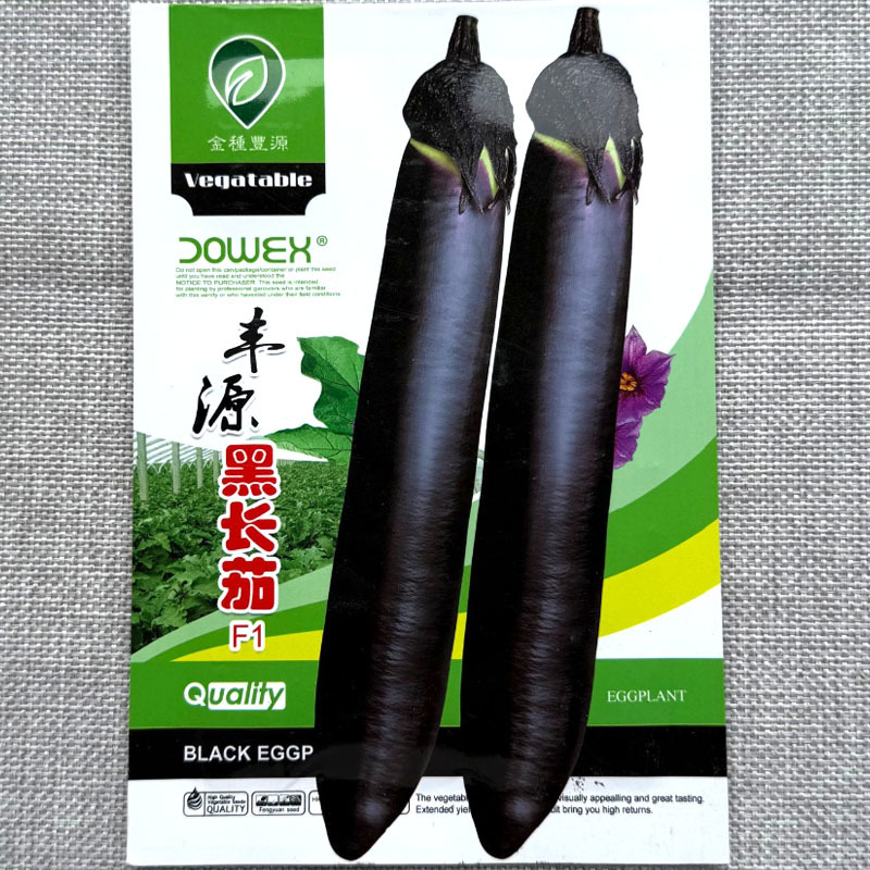 丰源黑长茄种子条直黑亮口感棉软抗病耐低温
