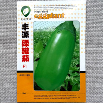 丰源绿罐茄种子五叶罐茄种子早熟皮色油绿质地细嫩