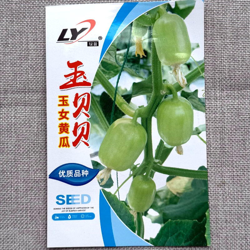 玉贝贝玉女黄瓜种子节节有瓜节间短甜脆细腻