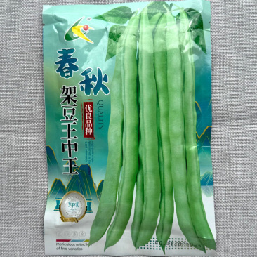 春秋王中王架豆种子早中熟嫩荚淡绿脆嫩爽口