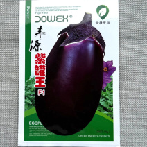 丰源紫罐茄种子果皮紫黑发亮果肉多嫩白色