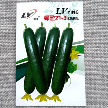绿盈水果黄瓜种子全雌型节间短瓜码密节节有瓜脆甜
