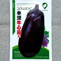 丰源牛心茄种子紫茄罐种子中早熟皮软果肉白色细嫩