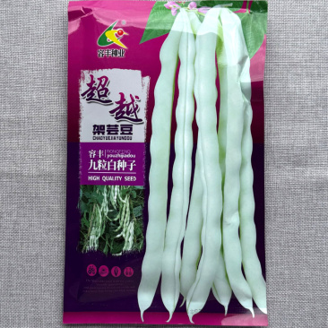 架芸豆种子九粒白四季豆种子嫩荚肉厚鲜嫩白而不老