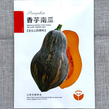 香芋南瓜种子瓜肉为橙黄肉质细腻味甜香芋味浓水分少