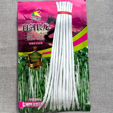 白剑长龙白豇豆种子白豆角种子厚肉型抗病不早衰